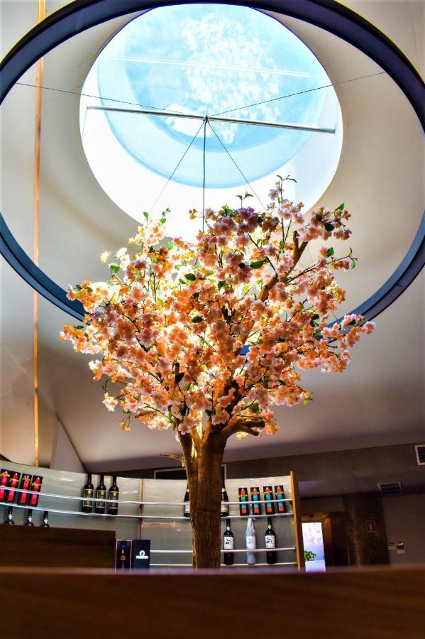 Paraiso Villas & Spa ギマランイス エクステリア 写真